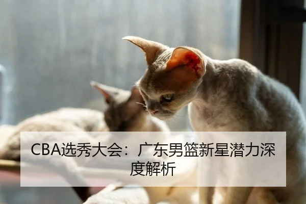 CBA选秀大会：广东男篮新星潜力深度解析